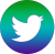 twitter-icon